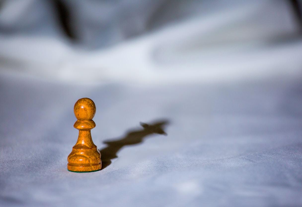 Competitive Differentiation Through AI Capabilities