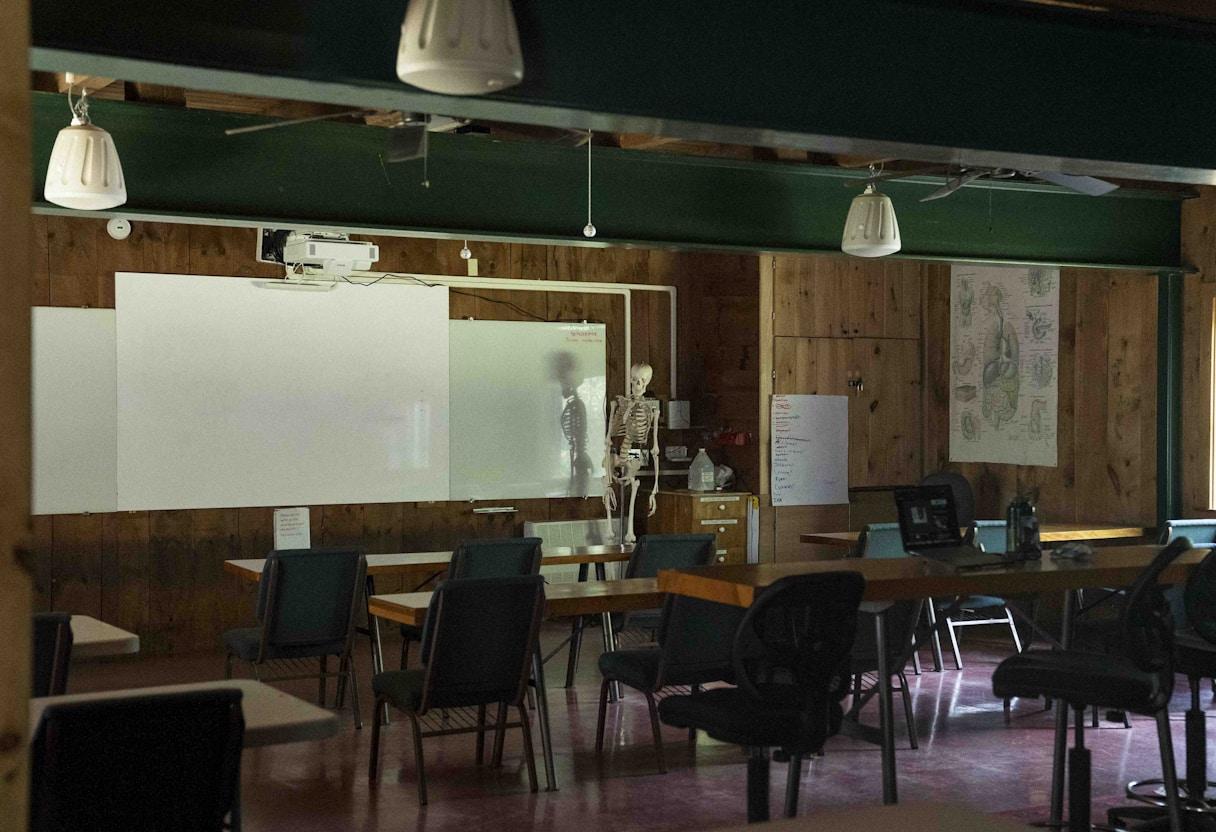 AI displacing humans in the workforce belgium sectors 7 Reskilling strategies and internal mobility for Belgian companies adopting AI