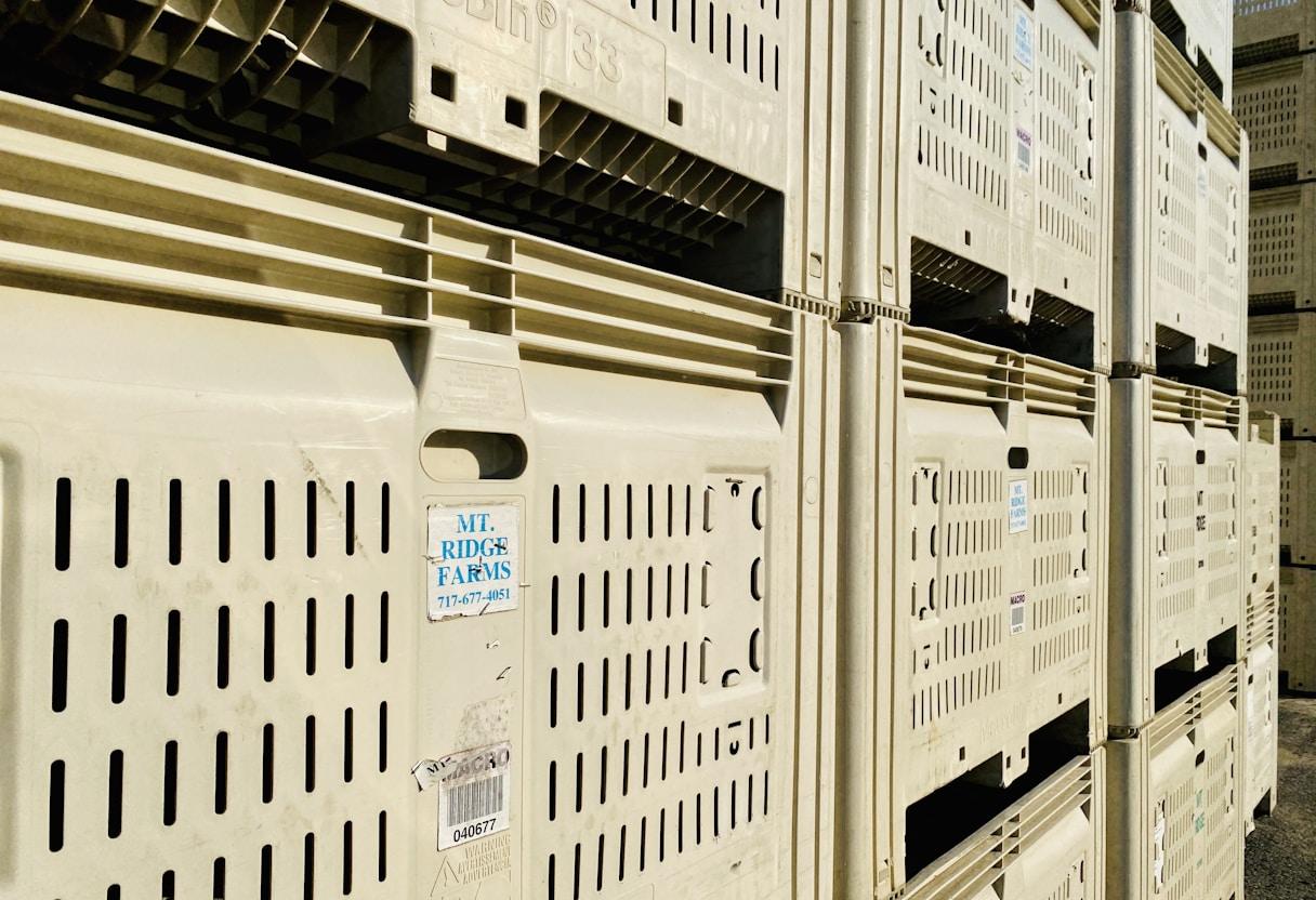 Technical foundation of artificial intelligence showing data, training, inference, and feedback loops