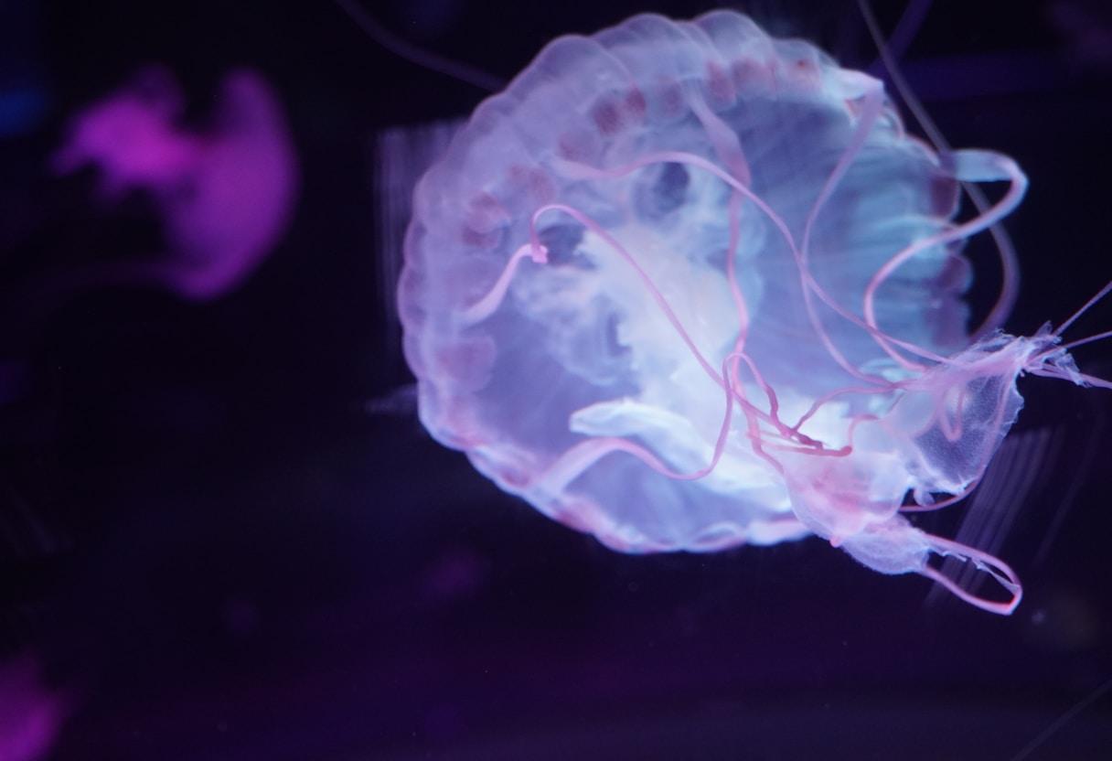 AI definition and core concepts illustrated with neural networks and data flow